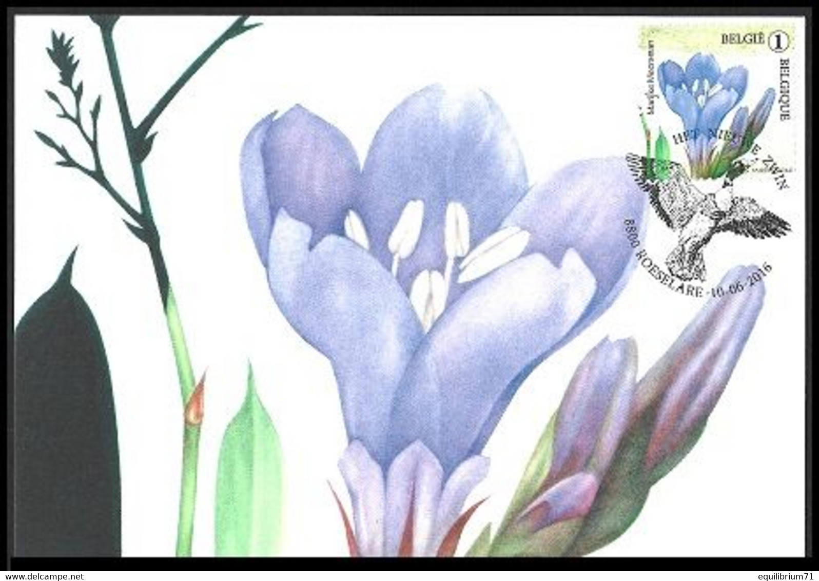 4606/4610° - CP Fleurs Le Nouveau Zwin /  PK Bloemen Het Nieuwe Zwin - Marijke Meersman - Roeselare FDC: 10-06-2016 - 2011-..