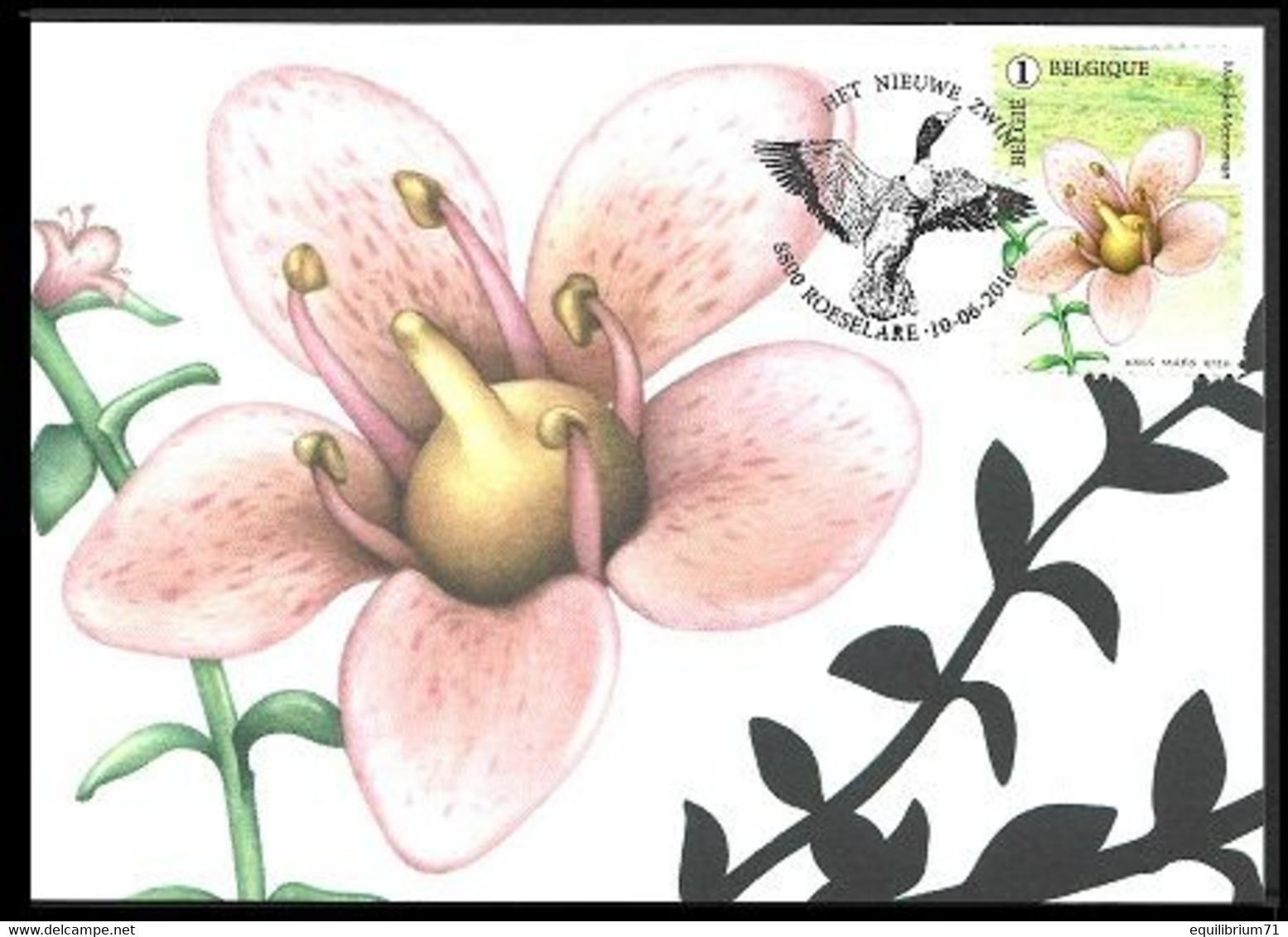 4606/4610° - CP Fleurs Le Nouveau Zwin /  PK Bloemen Het Nieuwe Zwin - Marijke Meersman - Roeselare FDC: 10-06-2016 - 2011-..