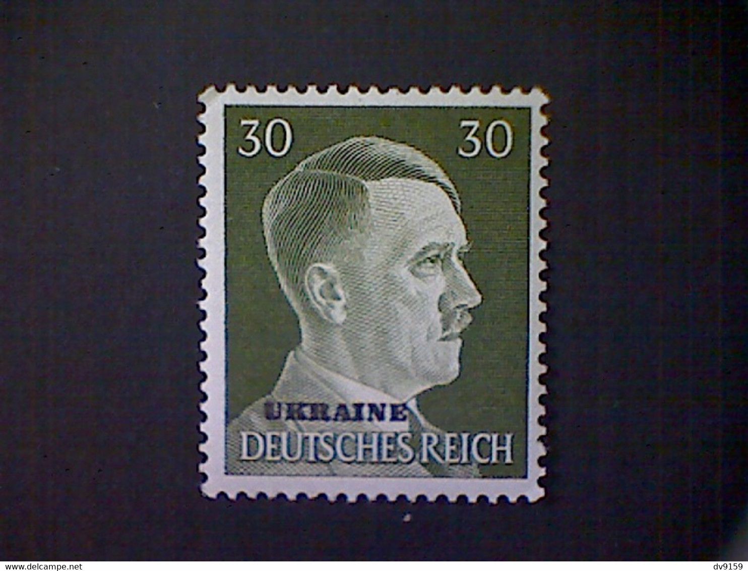 Russia, Scott #N56, Mint (*), 1941, Hitler Overprint Ukraine, 30pf, Olive Green - 1941-43 Ocupación Alemana