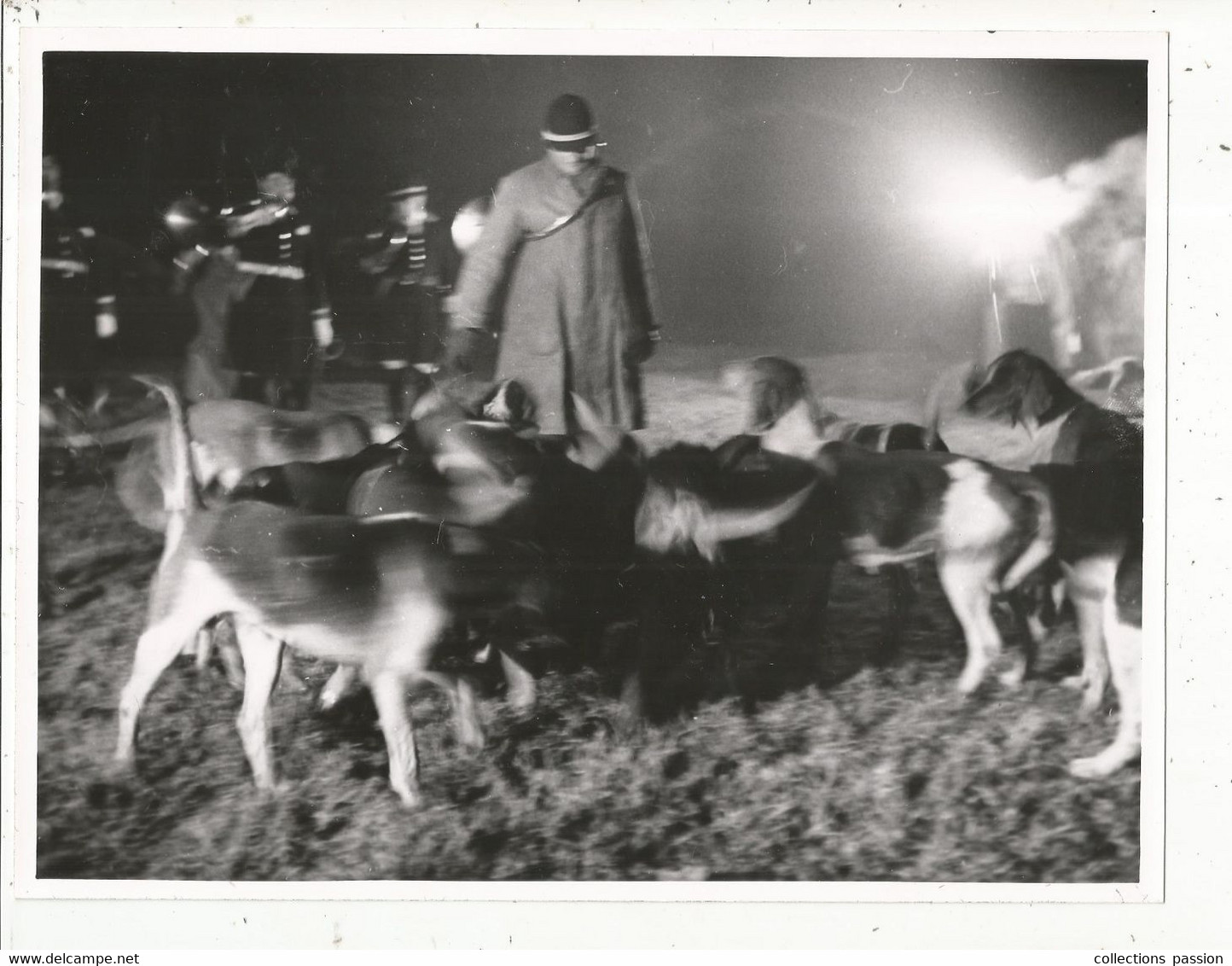 Photographie , 240 X 185 Mm, Sports ,CHASSE A COURRE, Nocturne ,chiens, Frais Fr 2.45 E - Sport