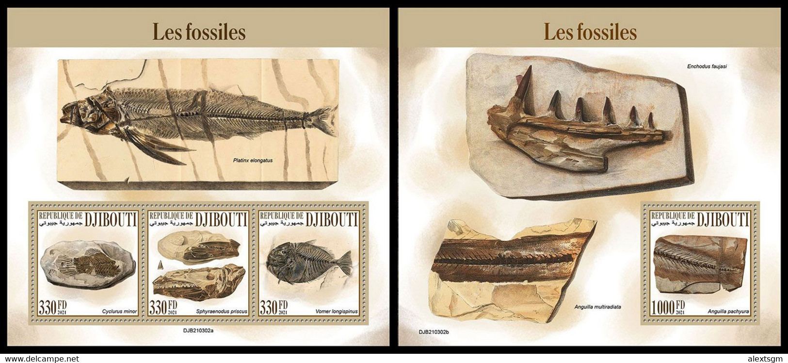 DJIBOUTI 2021 - Fossils, M/S + S/S. Official Issue [DJB210302] - Prehistorisch