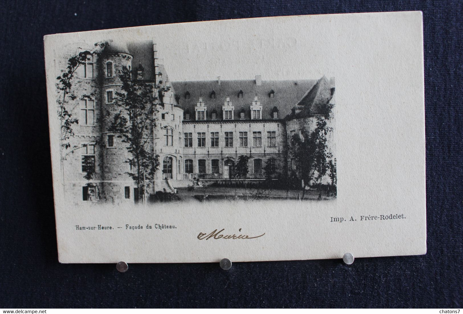 D 119 - Ham-sur-Heure - Façade Du Château - Imp. A. Frère-Rodelet - Circulé 1913 De Ham-sur-Heure Vers Cureghem - Ham-sur-Heure-Nalinnes