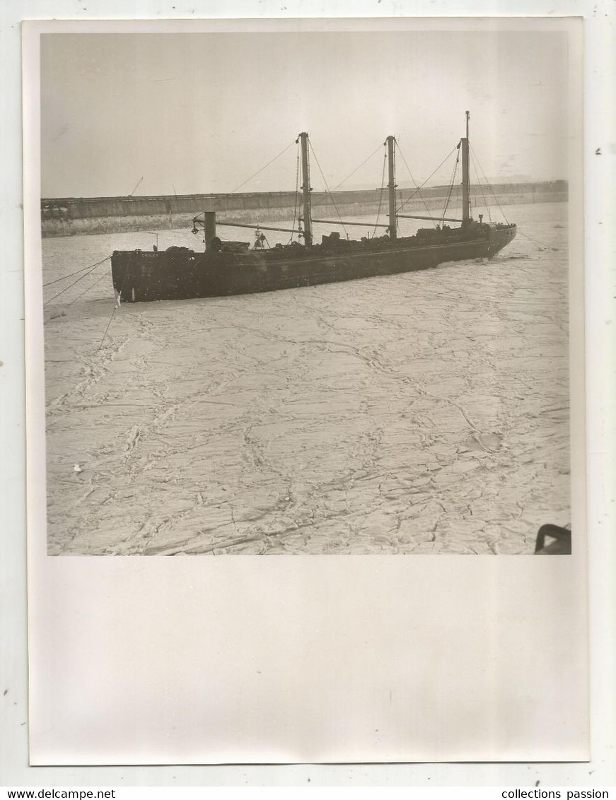 Photographie, Bateaux, Hiver 1954, France ,Nord-Pas De Calais, Bateaux Pris Par La Glace, 240 X 180 Mm, Frais Fr 1.95e - Barche