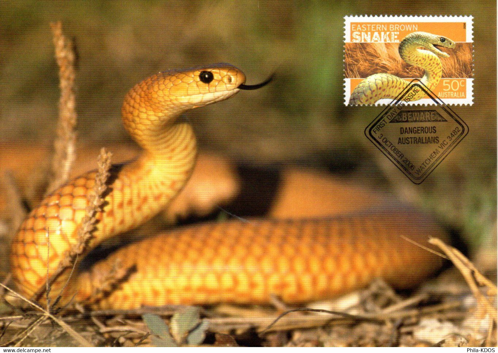 &#9989; " EASTERN BROWN SNAKE " Sur Carte Maximum Et PAP Neuf D'Australie De 2006. Parfait état. CM - Schlangen