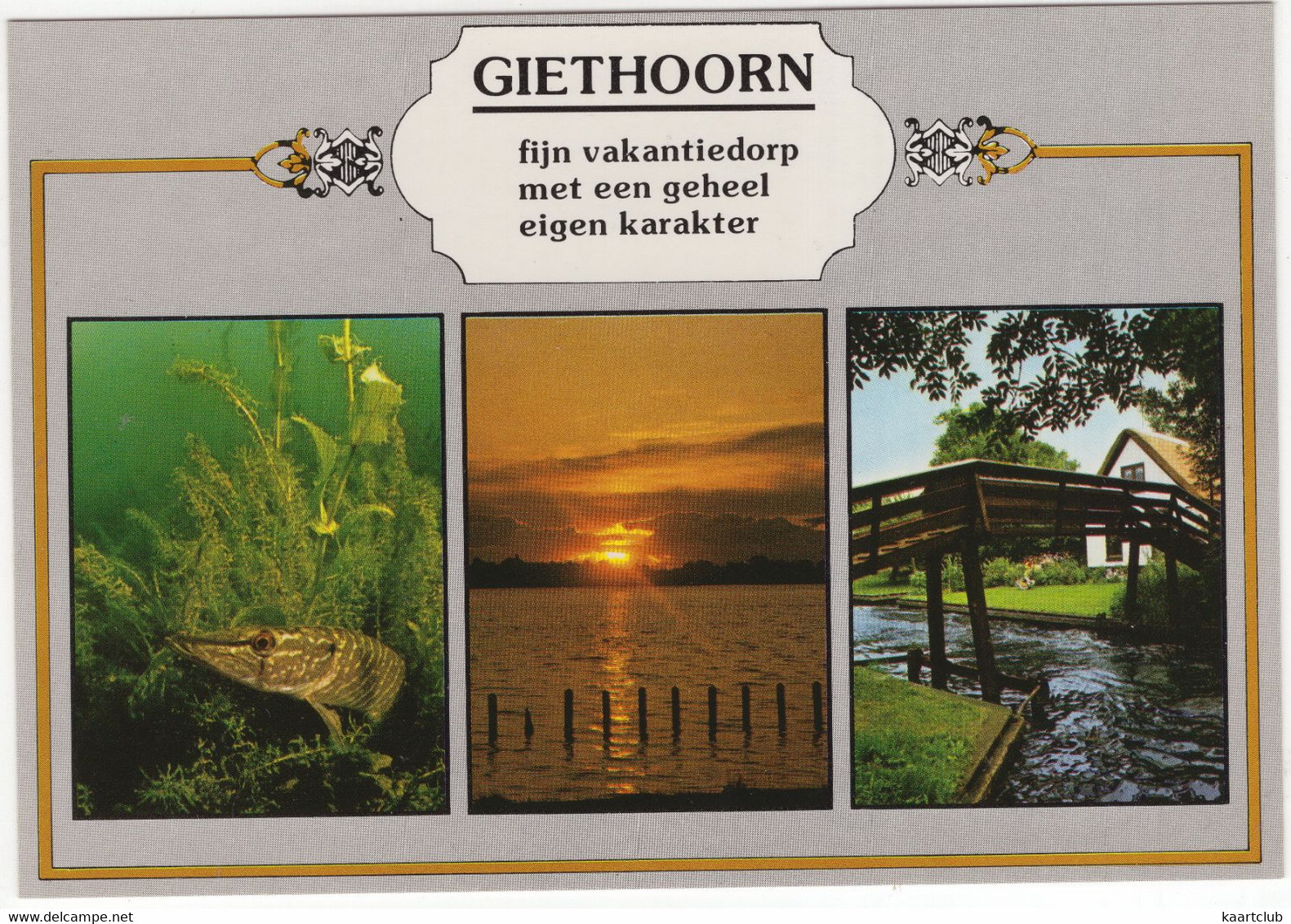 Giethoorn - Fijn Vakantiedorp Met Een Geheel Eigen Karakter - (Ov., Holland/Nederland) Nr. GIN 20 - Giethoorn