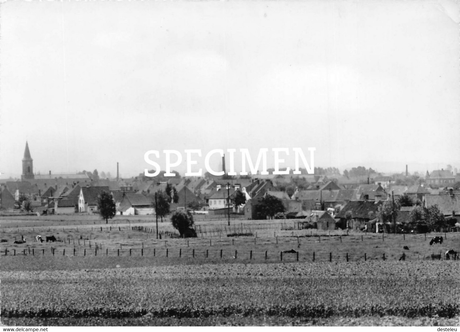 Panorama - Gullegem - Wevelgem