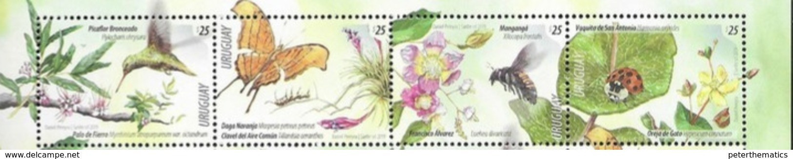 URUGUAY , 2019, MNH,  SPRING 2019, BIRDS, HUMMING BIRDS, INSECTS, BEES, BUTTERFLIES, LADYBUGS, 4v - Kolibries