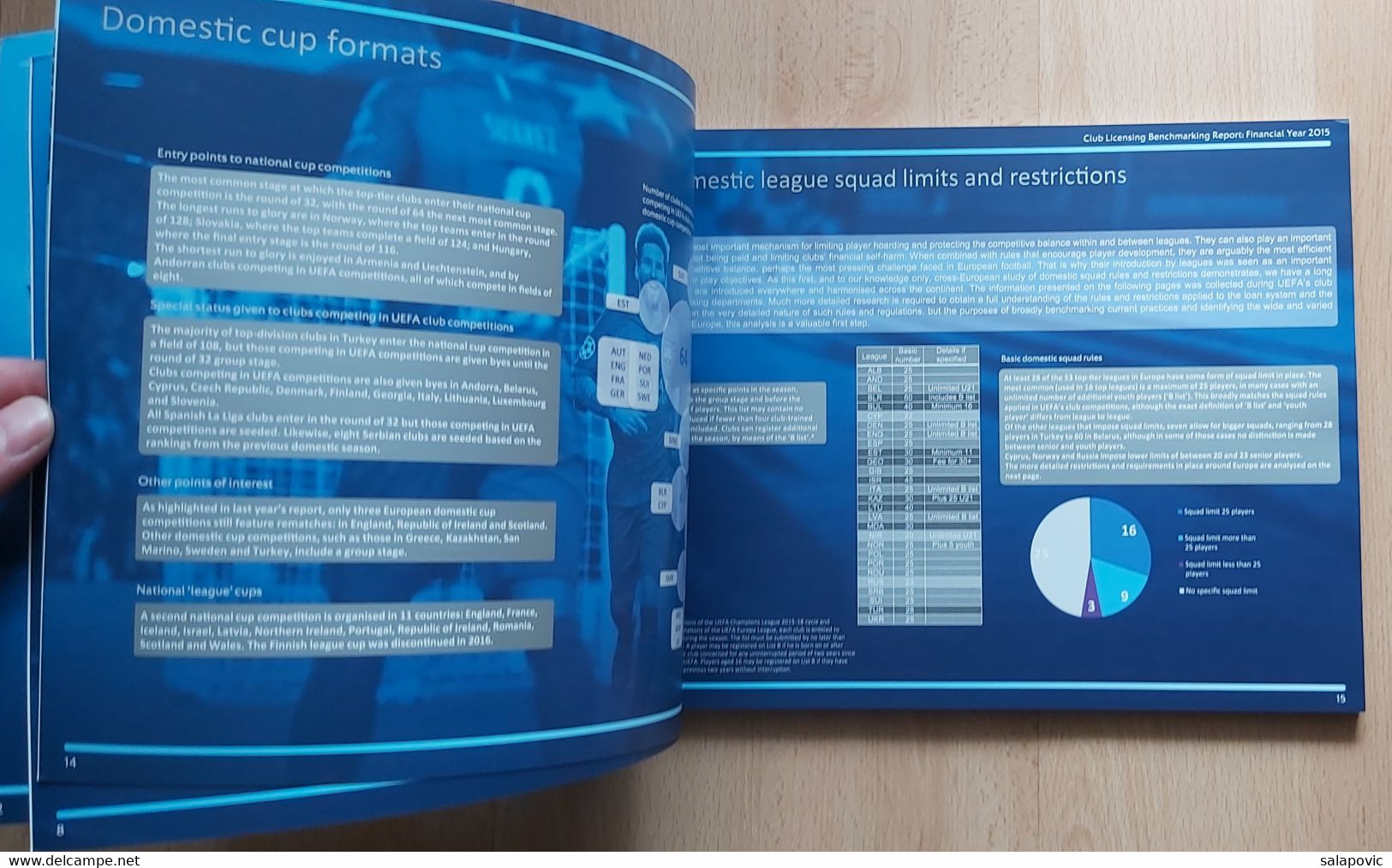 UEFA EUROPEAN CLUB FOOTBALLING LANDSCAPE 2015 - Books