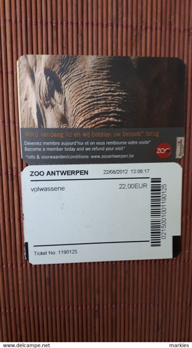 The Zoo 1 Ticket Antwerp Belgium Thin Carton Used Only To Collect Rare - Herkunft Unbekannt