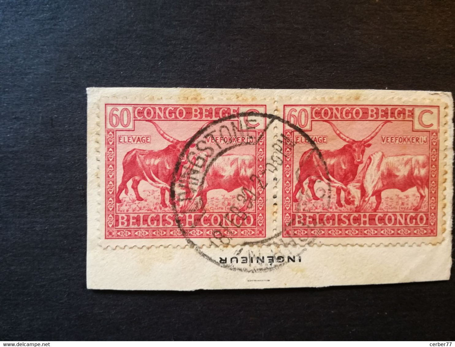COB 124 ( In Pair) With Foreign LIVINGSTONE N. RHODESIA Cancel - Usati