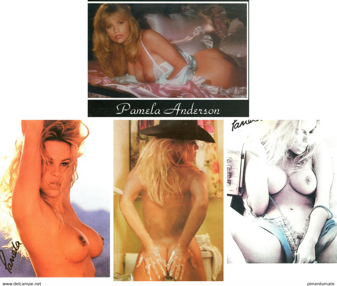 CELEBRITE PAMELA ANDERSON LOT 4 CARTES - Artistas