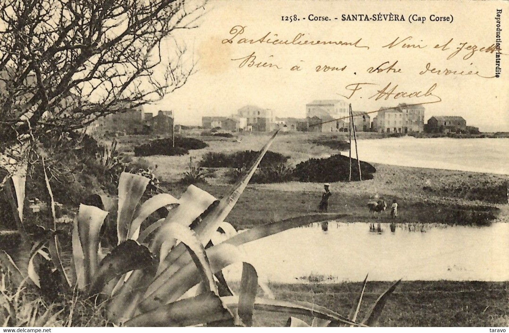 CORSE  -  SANTA SEVERA (Cap Corse) - Les Lavandières (cliché J. Moretti D'avant 1905) - Andere & Zonder Classificatie