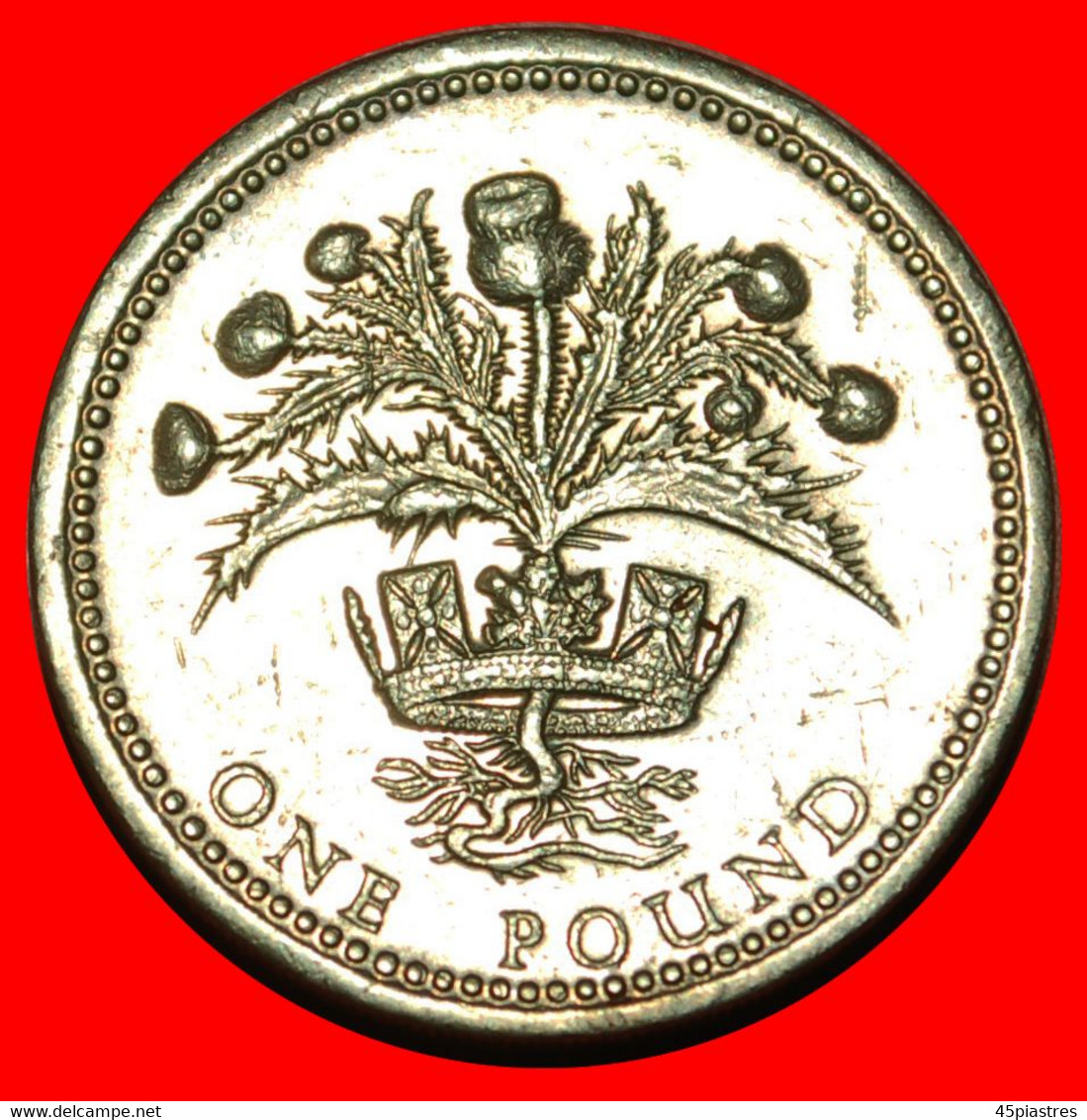 * THISTLE: GREAT BRITAIN ★ 1 POUND 1984! LOW START ★ NO RESERVE! - 1 Pond