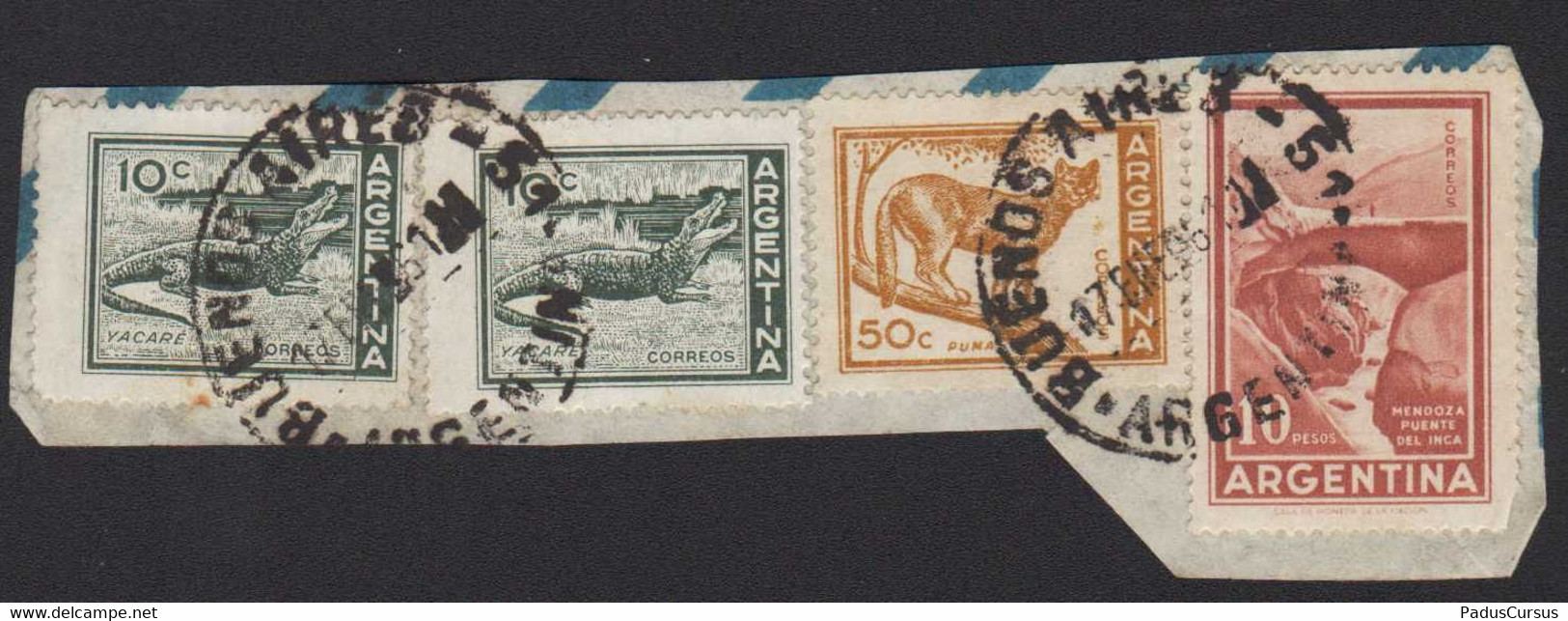 Argentina 17.01.1966 Buenos Aires 5 Caimano Yacare Jacara Caiman Puma Cougar Puente Del Inca Mendoza Bridge FRB00121 - Altri & Non Classificati