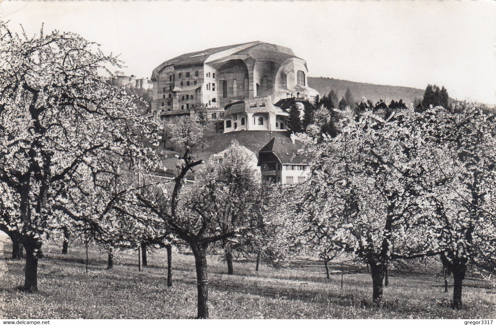 8907) GOETHEANUM - Freie Hochschule Für Geisteswissenschaften DORNACH - Schweiz 1955 - Dornach