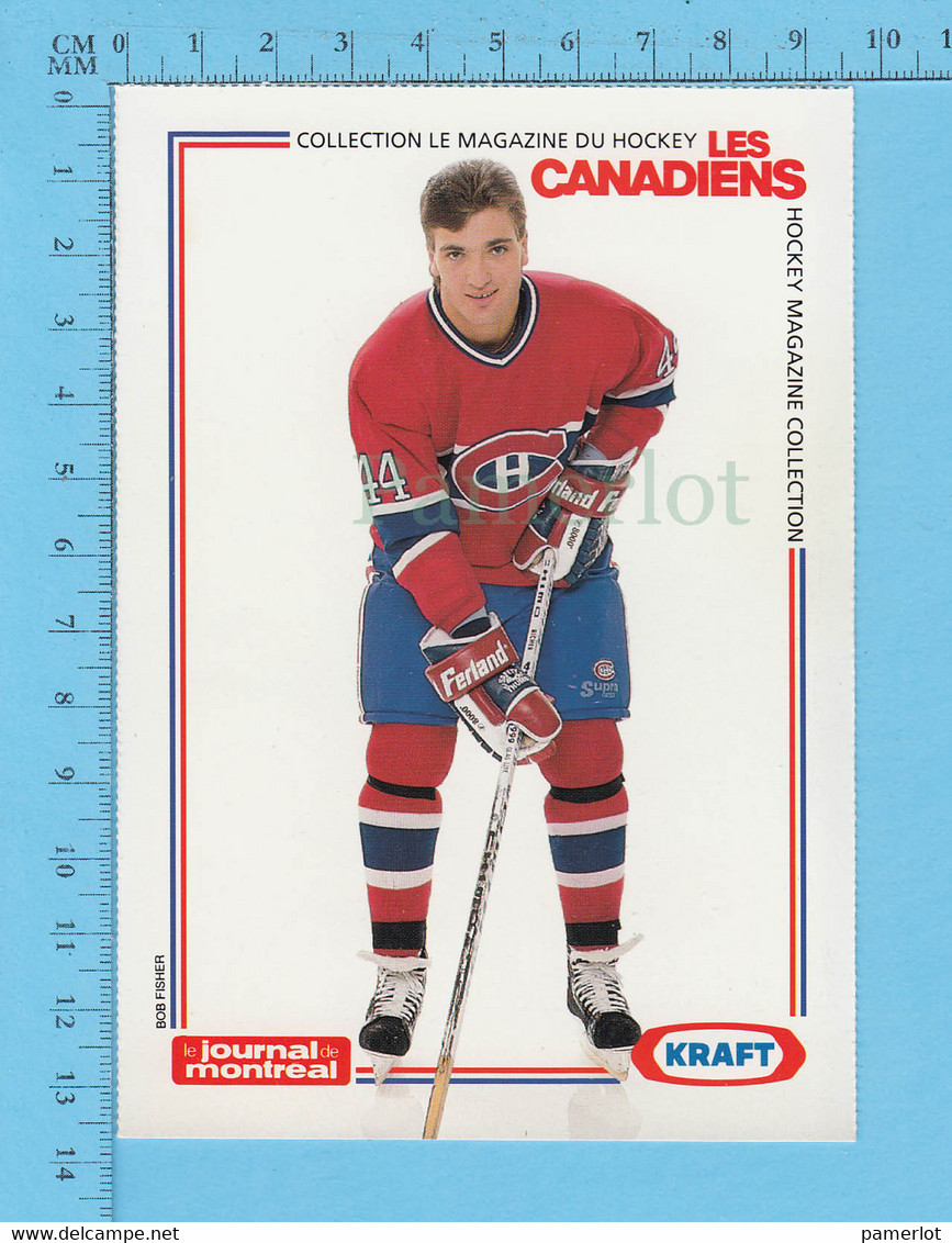 Hockey - Stephane Richer # 44 + Statistique, Commandité Par Kraft Et Le Journal De Montreal, C:1990 - 1980-1989
