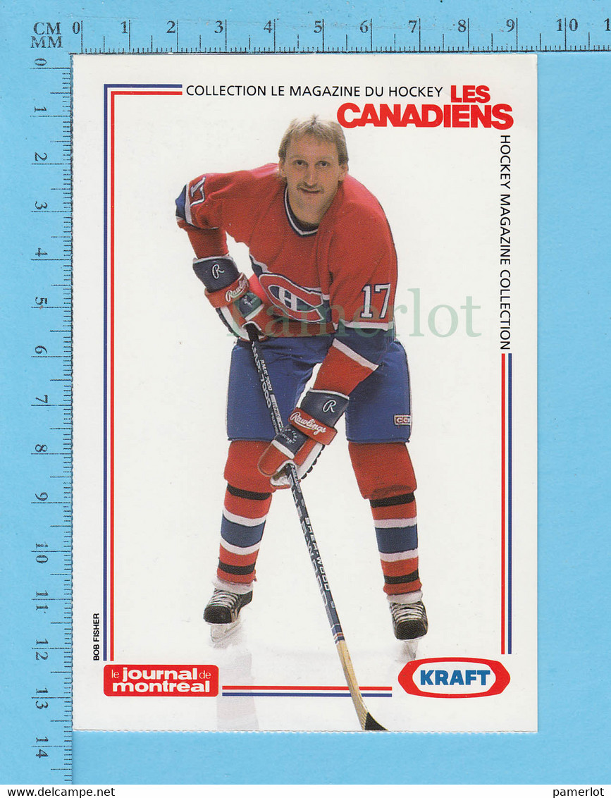 Hockey - Craig Ludwig # 17+ Statistique, Commandité Par Kraft Et Le Journal De Montreal, C:1990 - 1980-1989