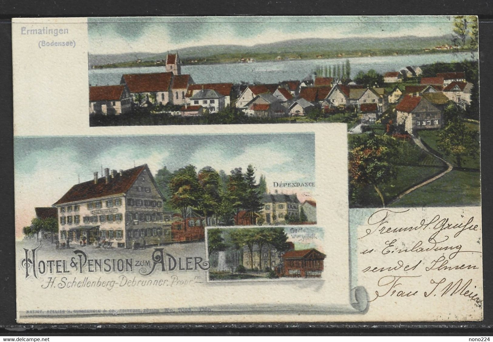 Carte P De 1902 ( Ermatingen / Hôtel & Pension Zum Adler ) - Ermatingen