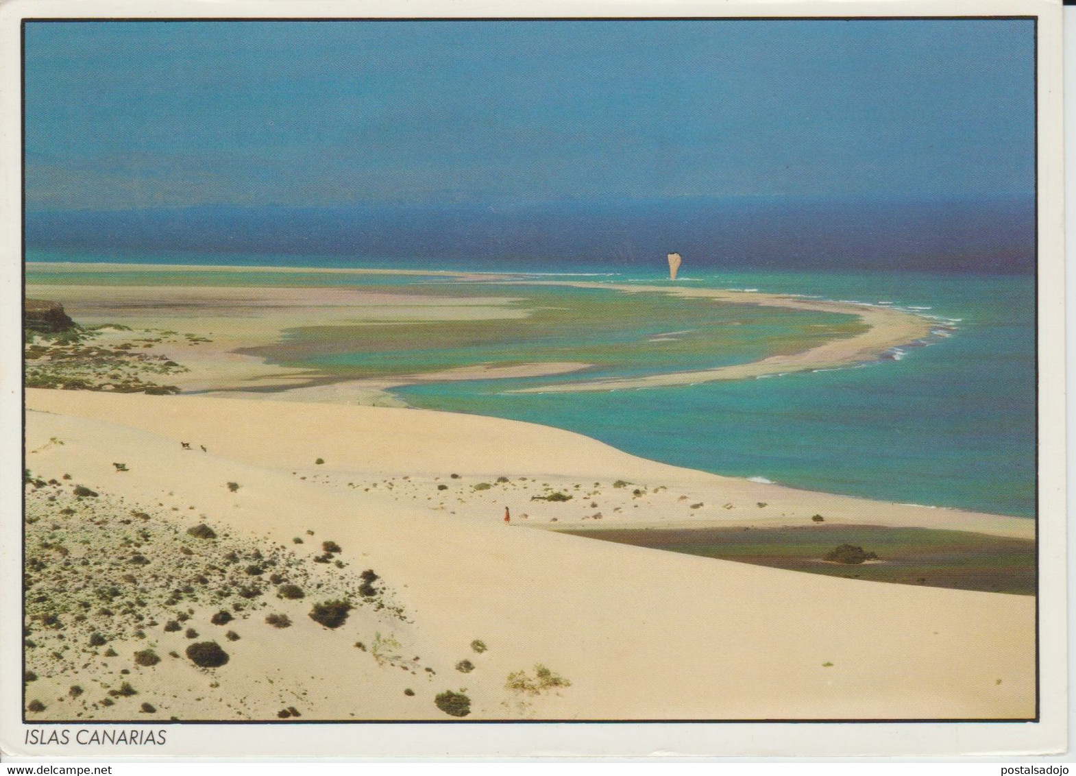 (CANA1624)  JANDIA. FUERTEVENTURA - Fuerteventura