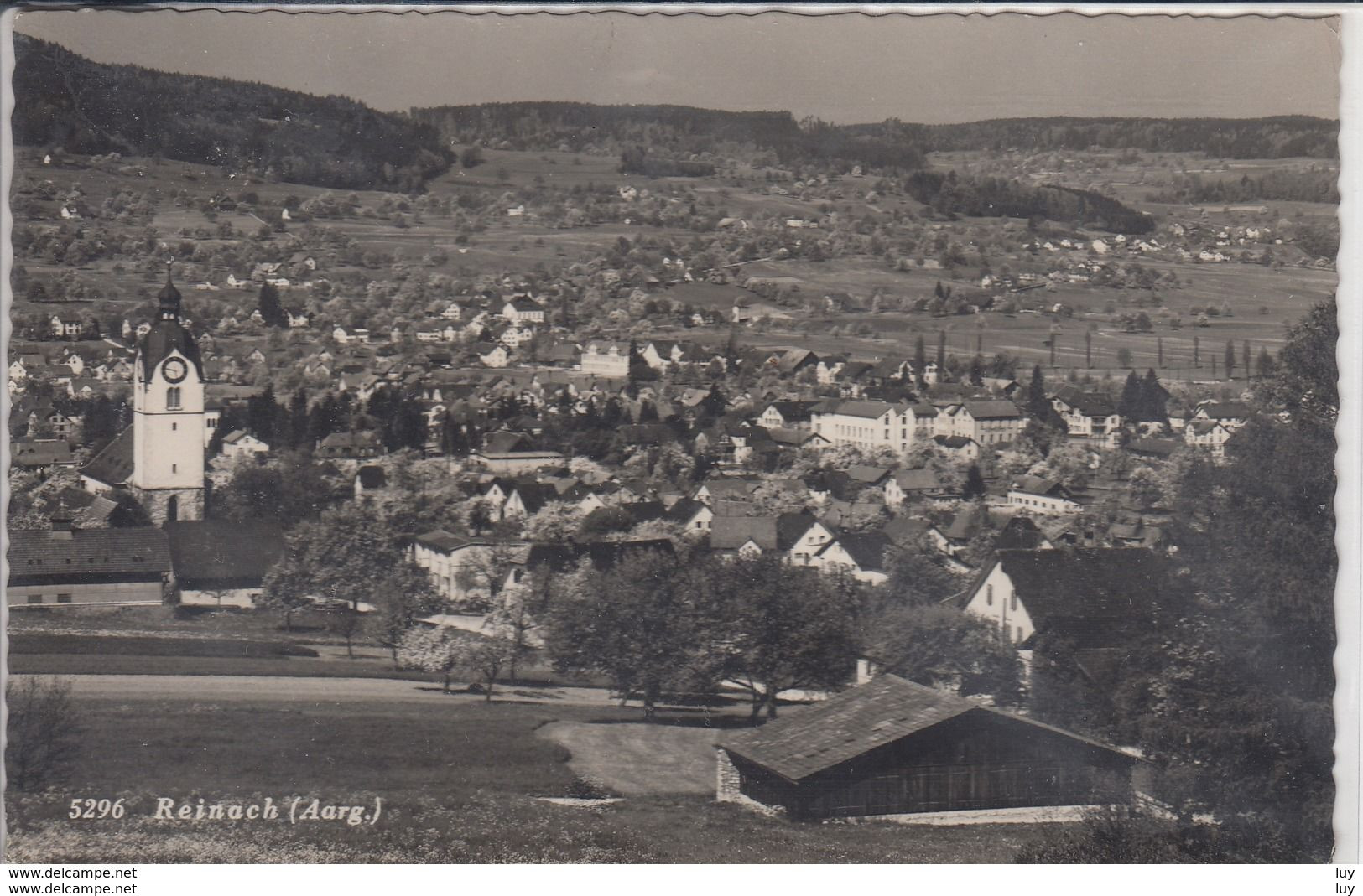 REINACH  AARGAU  PANORAMA - Reinach