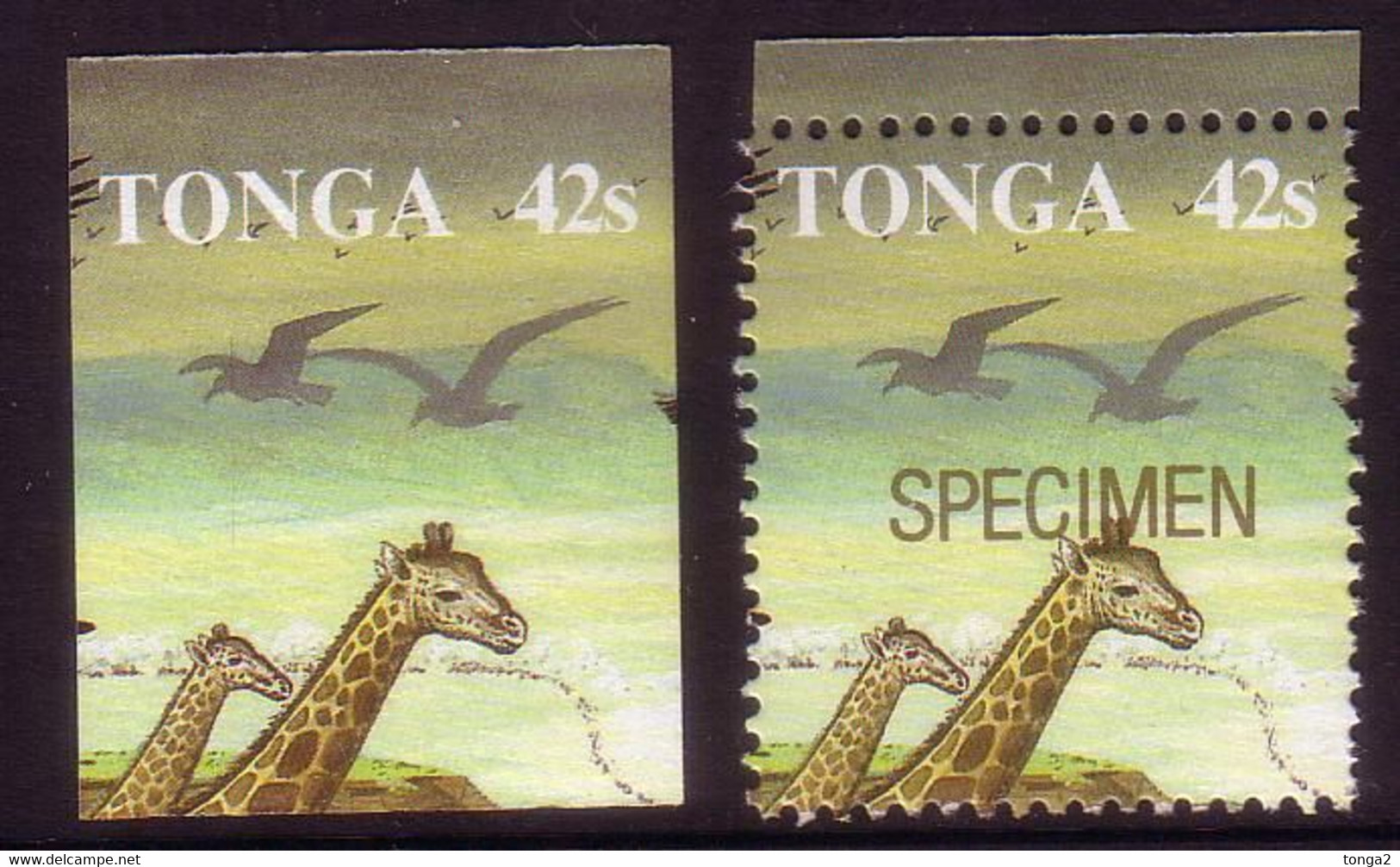 Tonga 1987 Imperf Plate Proof + Specimen  - Shows Giraffe - 6 Exist - Rare - Details In Description - Giraffes