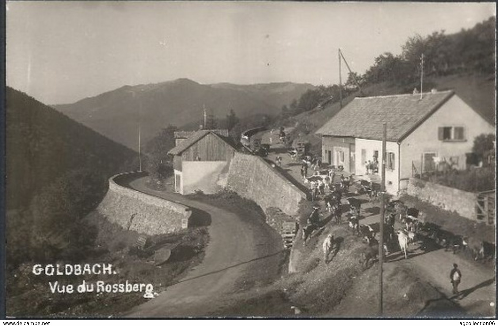 GOLDBACH. VUE DE ROSSBERG. CARTE PHOTO. TROUPEAU - Other & Unclassified