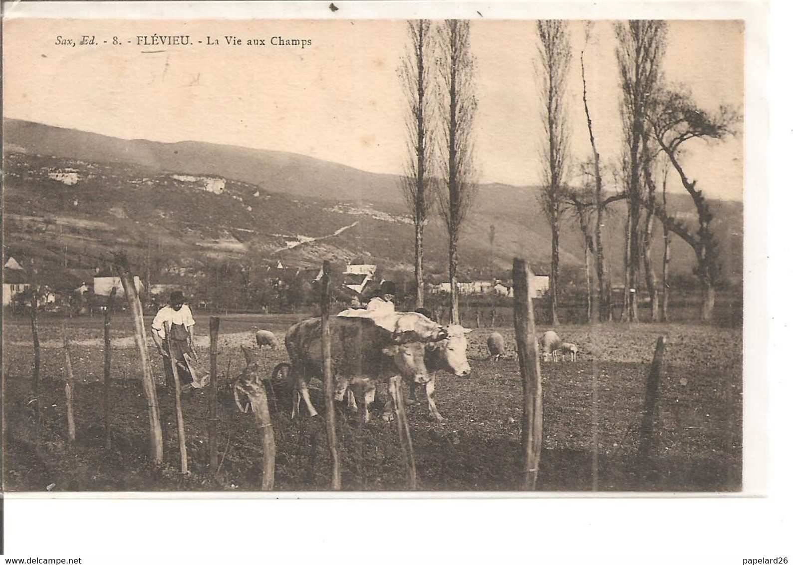 AIN  FLEVIEU LA VIE AUX CHAMPS ANIMEE ECRITE - Ohne Zuordnung