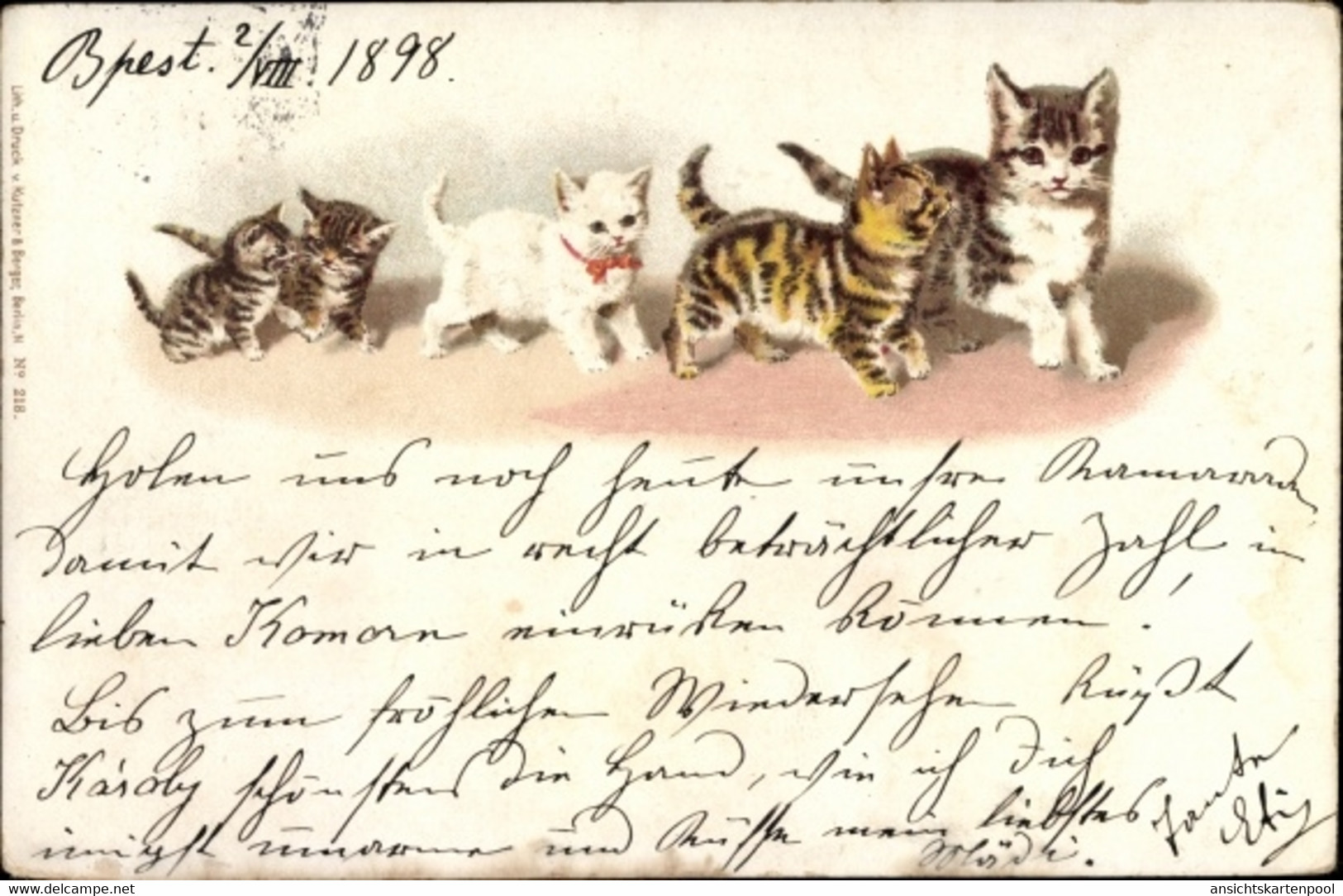 Lithographie Getigerte Und Weiße Katzen - Other & Unclassified