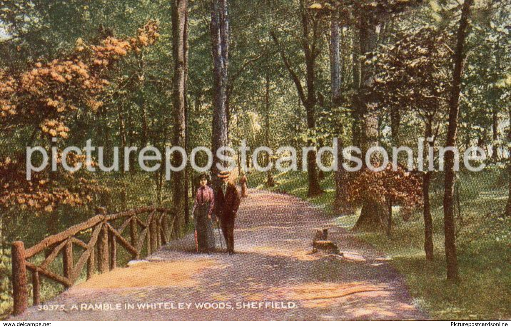 SHEFFIELD A RAMBLE IN WHITELEY WOODS OLD COLOUR POSTCARD YORKSHIRE - Sheffield