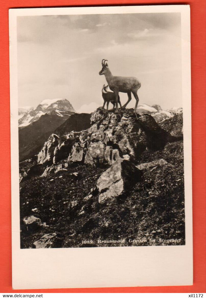 FBC-32 Braunwald, Gemsen Im Alpgebiet. Chamois.  Schönwetter 1089, Nicht Gelaufen - Braunwald