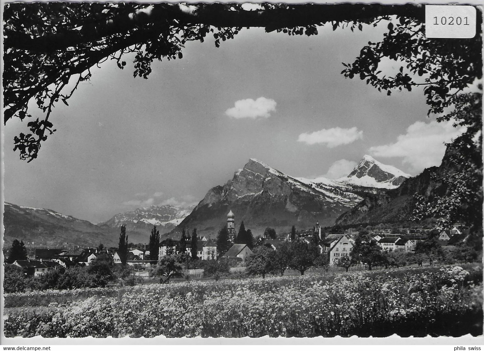 Das Malerische Städtchen Maienfeld - Maienfeld