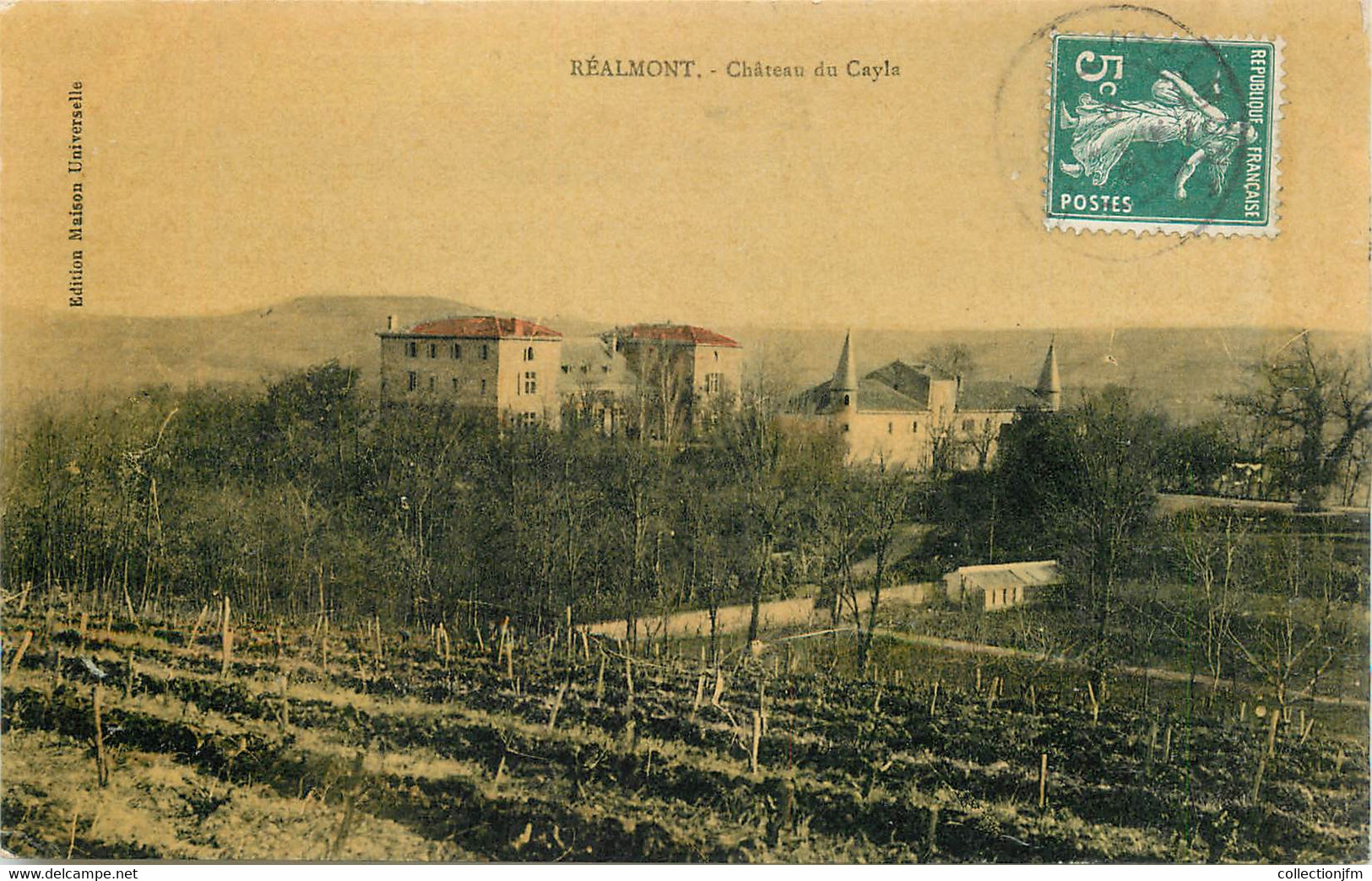 CPA FRANCE 81 "Réalmont, Chateau Du Cayla" - Realmont