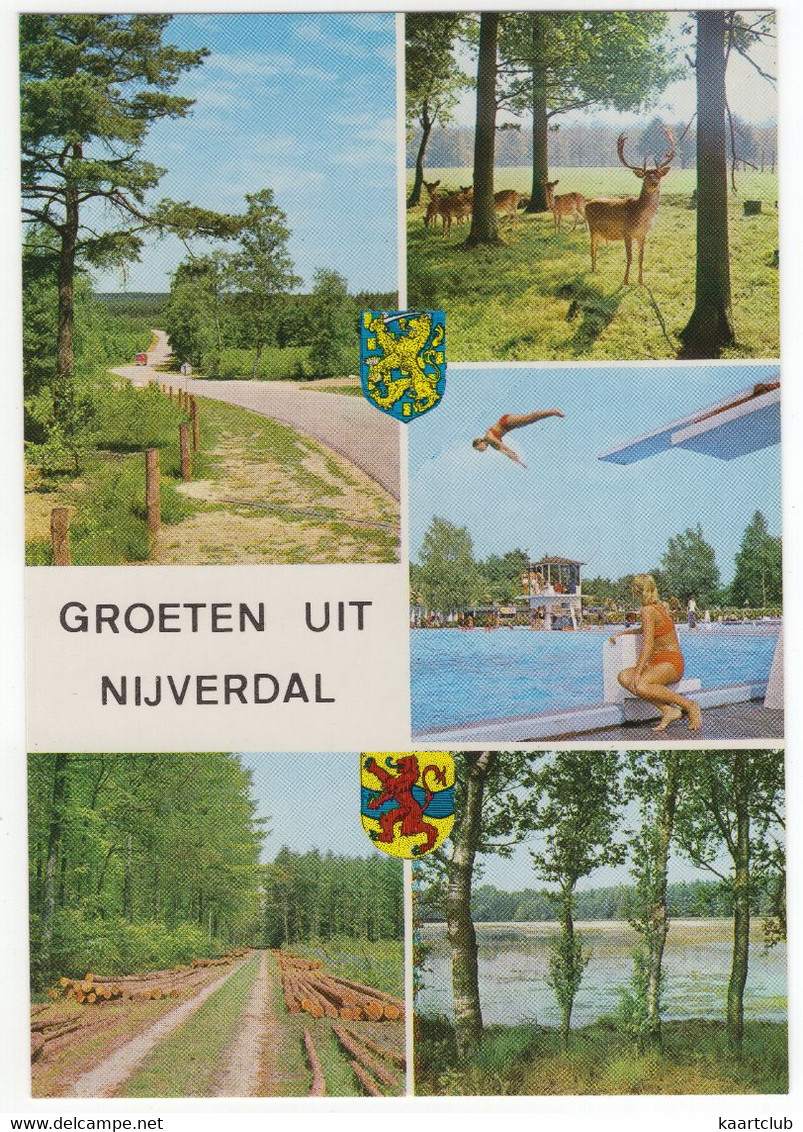 Nijverdal - (Nederland) - Zwembad, Duikplank, Bos, Hert E.d. - Nr. L 351 - Nijverdal