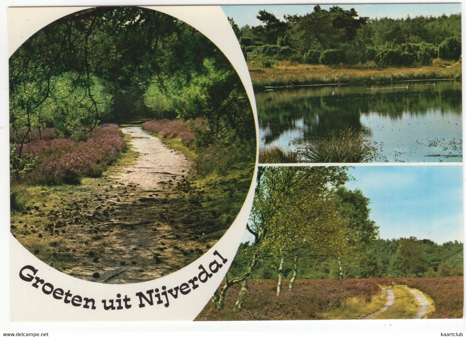 Groeten Uit Nijverdal - (Nederland) - Zandpad, Ven, Berken E.d. - Nr. L 3043 - Nijverdal