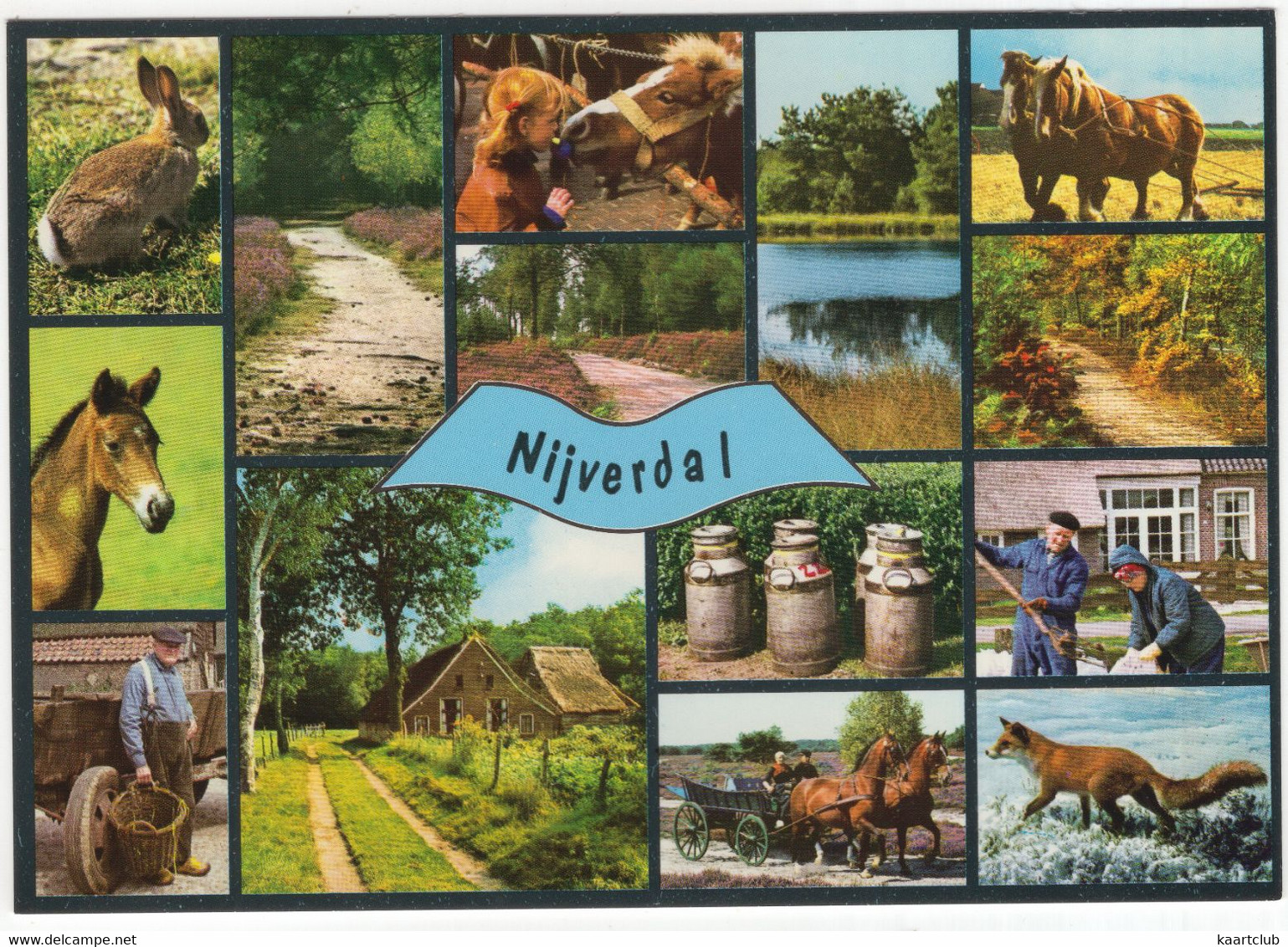 Nijverdal - (Nederland) - Boeren, Paarden, Vos E.d. - Nr. L 7861 - Nijverdal
