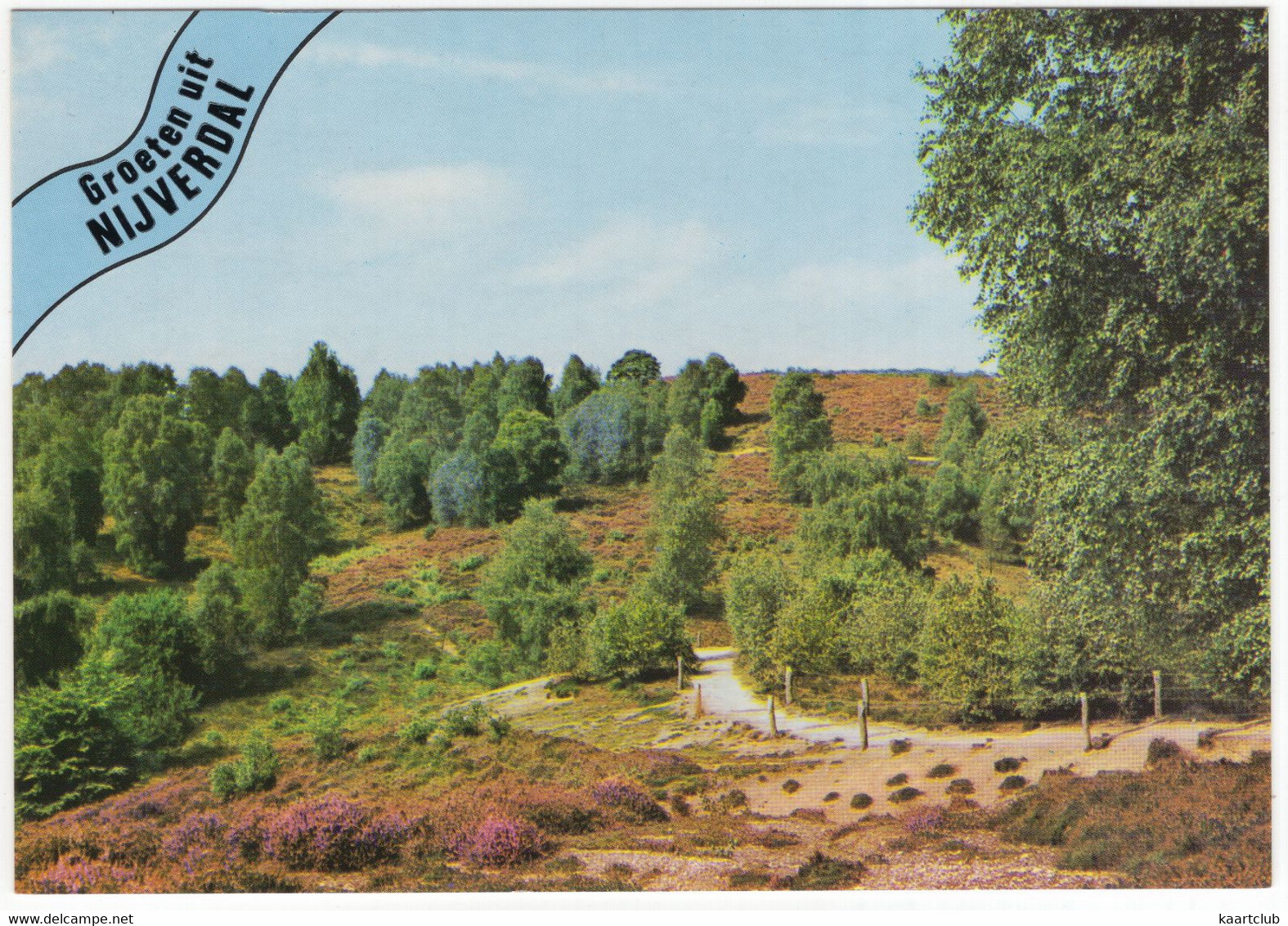 Groeten Uit Nijverdal - Glooiend Landschap, Bloeiende Heide, Bomen En Struiken - (Nederland) - Nr. 729 - Nijverdal