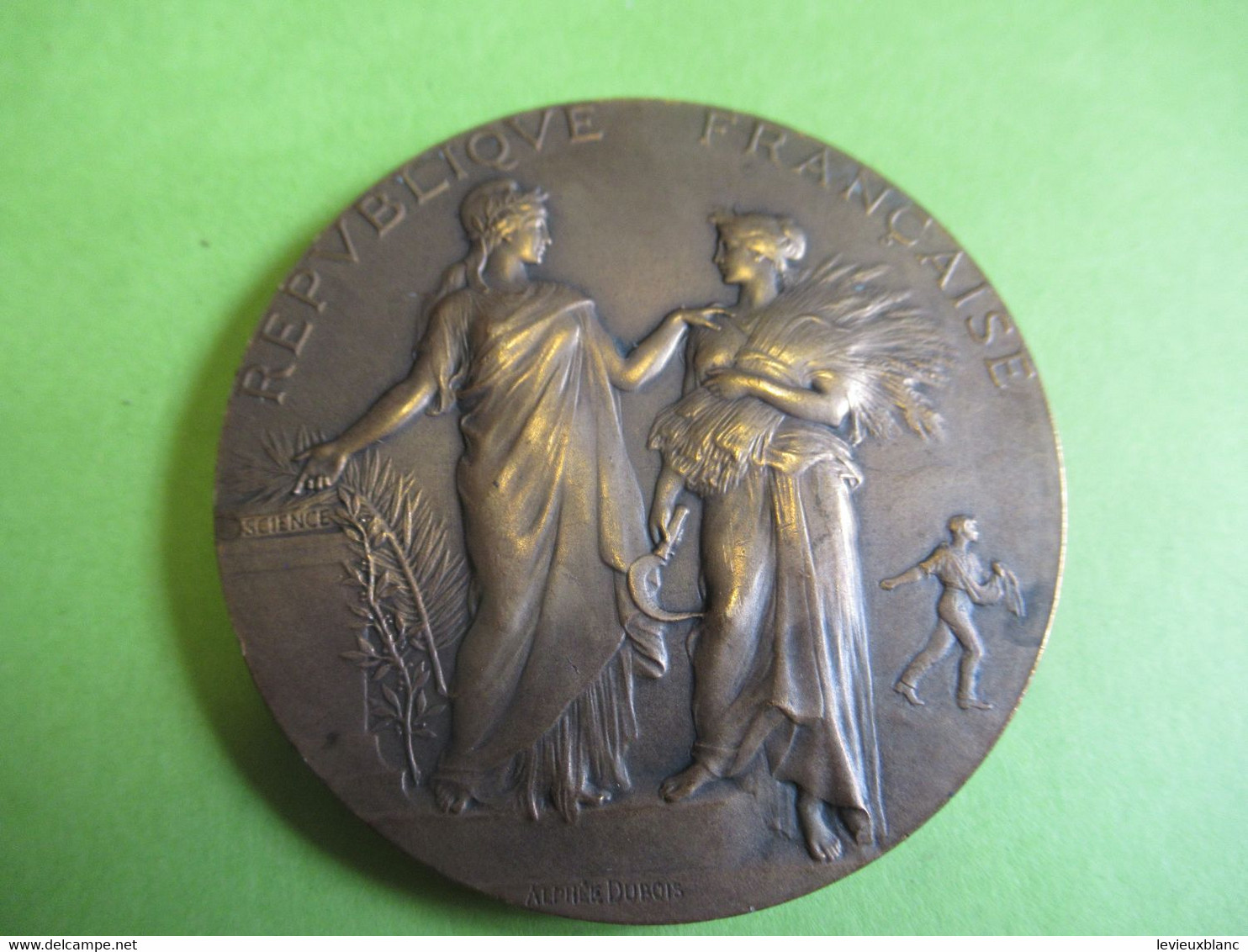 Médaille De Table/ République Française/Ministére De L'Agriculture/Concours Central Hippique/PARIS/1908  MED402 - Professionals / Firms