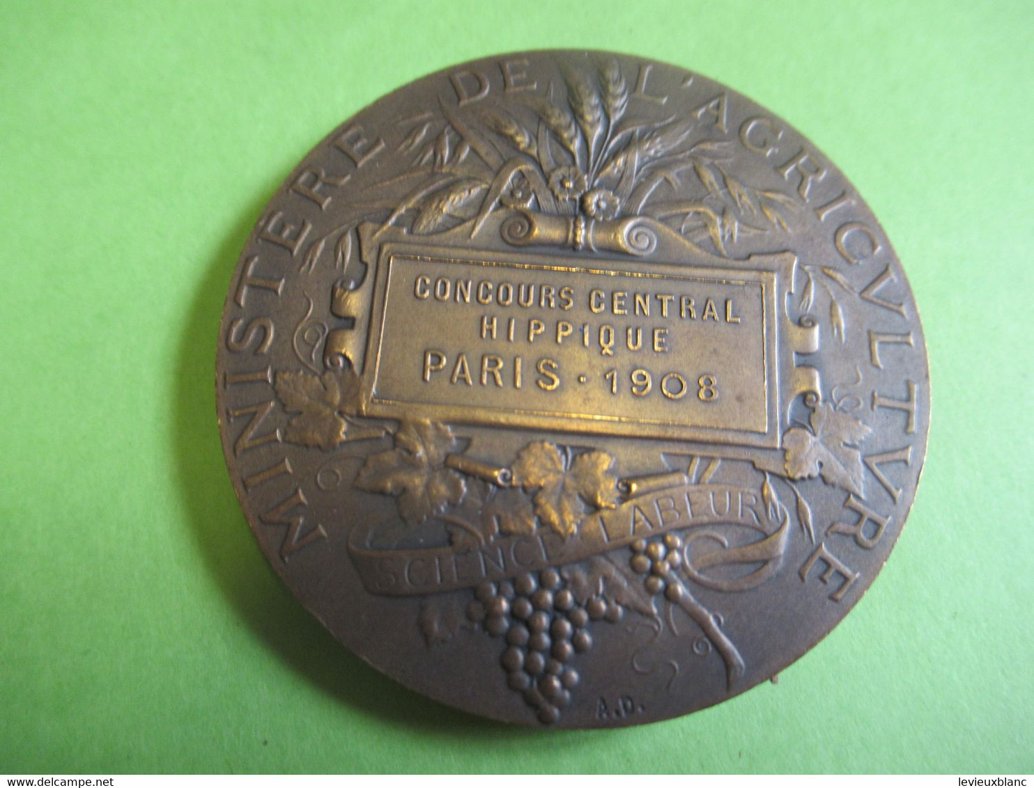 Médaille De Table/ République Française/Ministére De L'Agriculture/Concours Central Hippique/PARIS/1908  MED402 - Professionnels / De Société