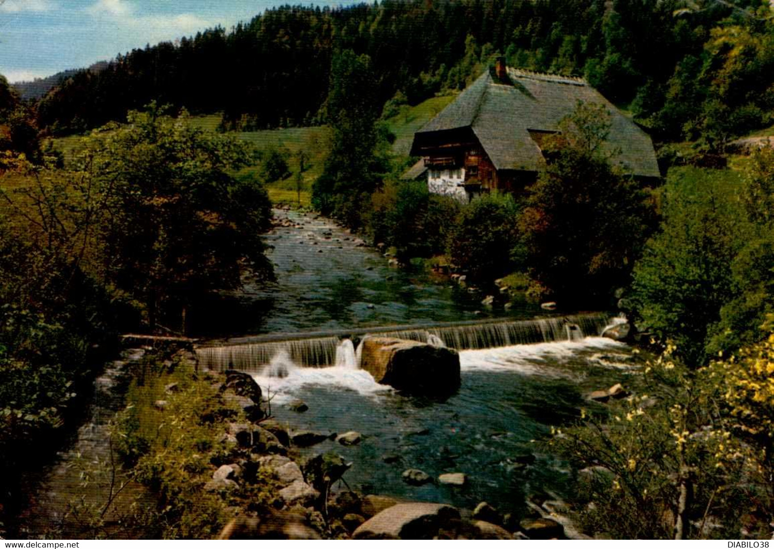 SCHWARZWALD-IDYLL    ( ALLEMAGNE )  AN DER GUTACH - Gutach (Schwarzwaldbahn)