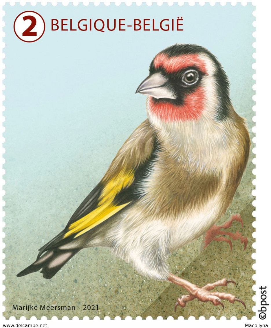 België  2021 ** De Natuurlijke Driekleur / La Nature Tricolore / MNH - Postfris - Unused Stamps