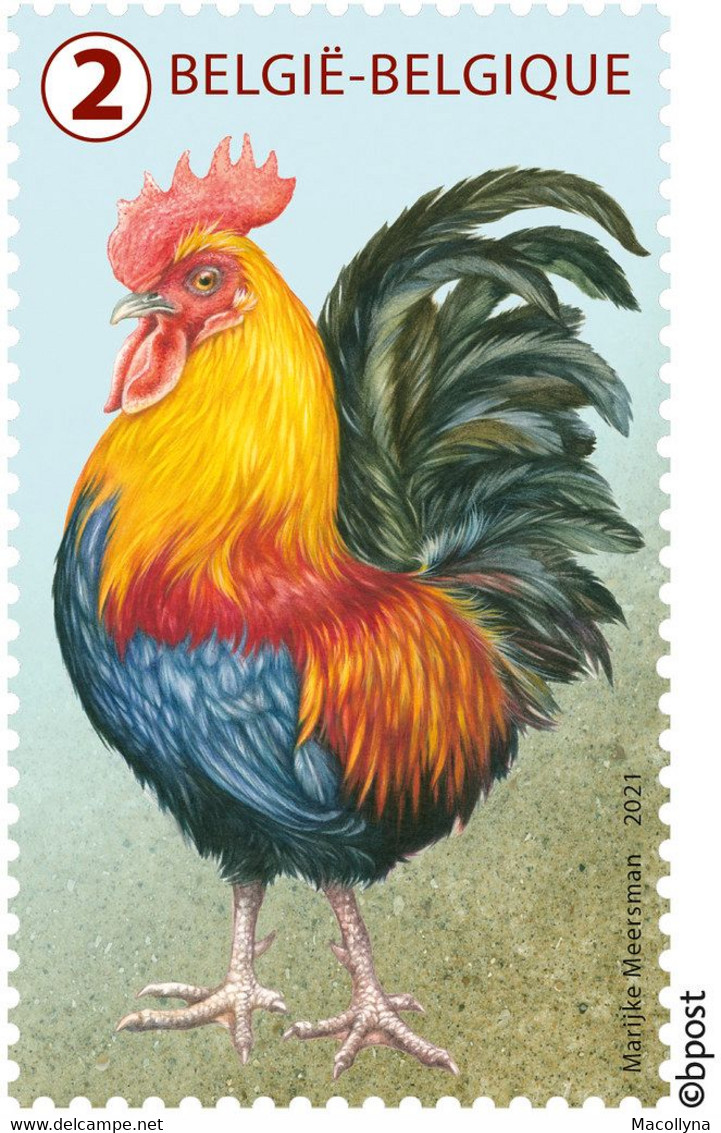 België  2021 ** De Natuurlijke Driekleur / La Nature Tricolore / MNH - Postfris - Unused Stamps