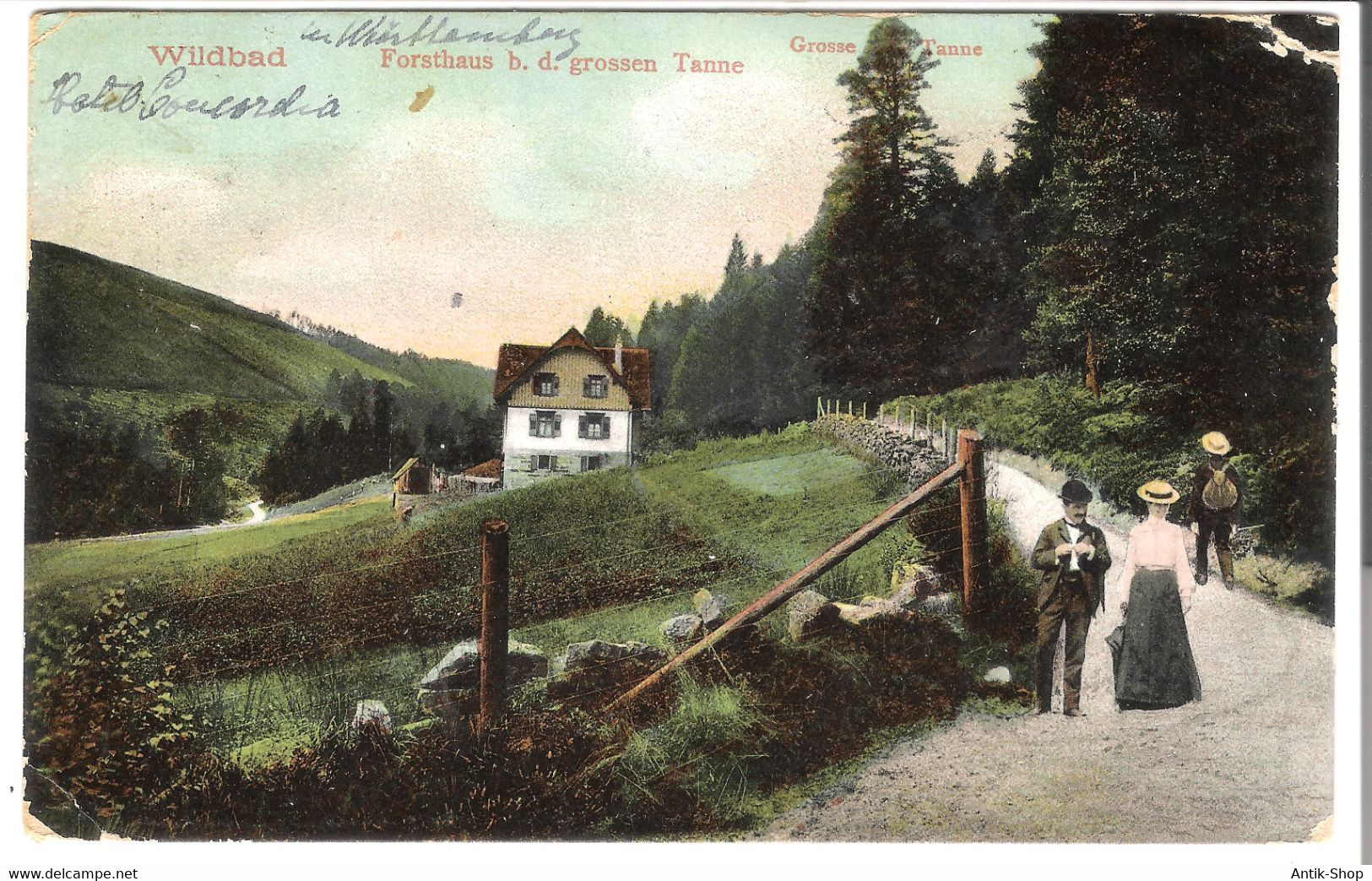 Wildbad - Forsthaus B.d. Grossen Tanne (Hotel Concordia) V.1906  (5125) - Schömberg