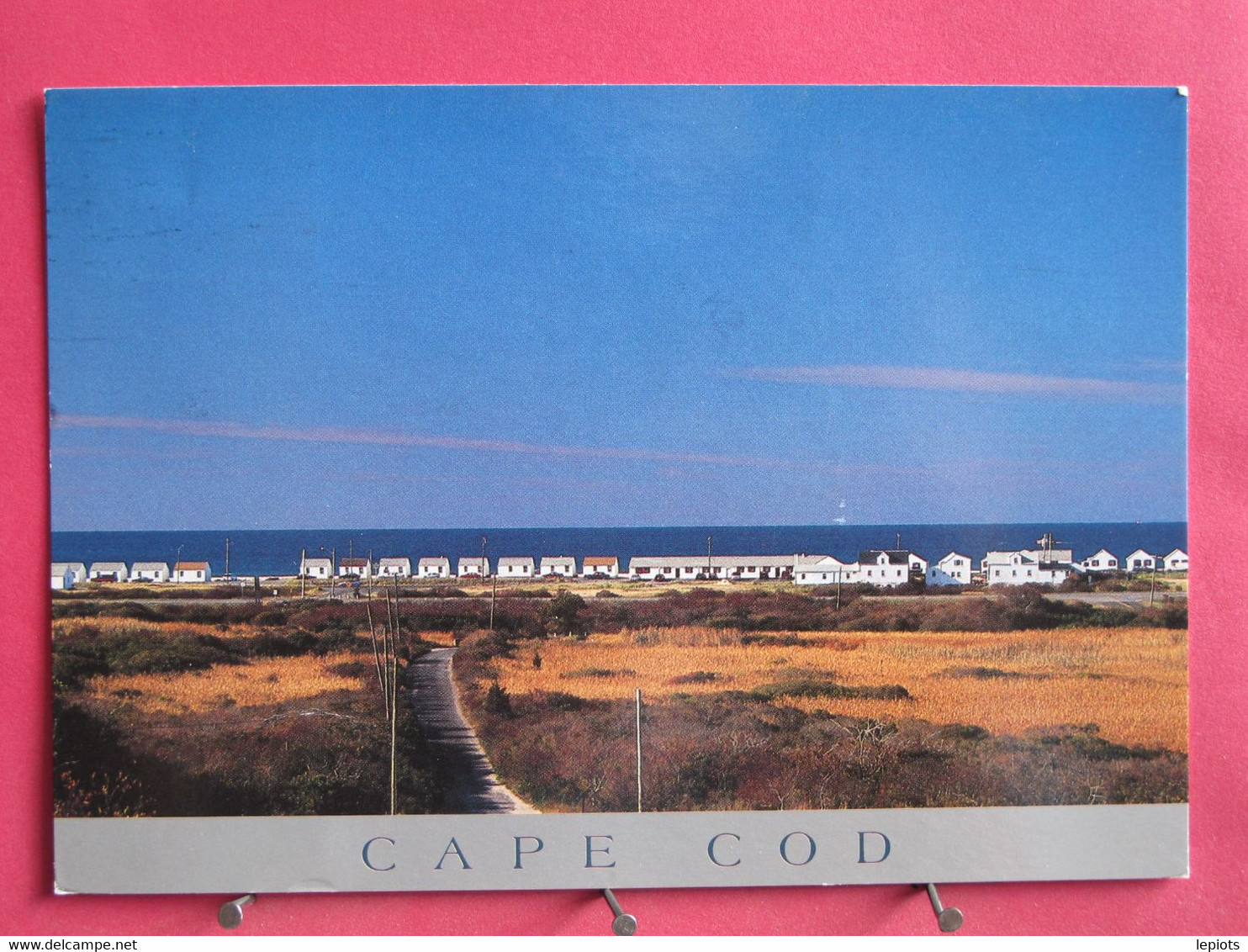 Etats-Unis - Cape Cod - Patterns Of Tourism - Provincetown - R/verso - Cape Cod