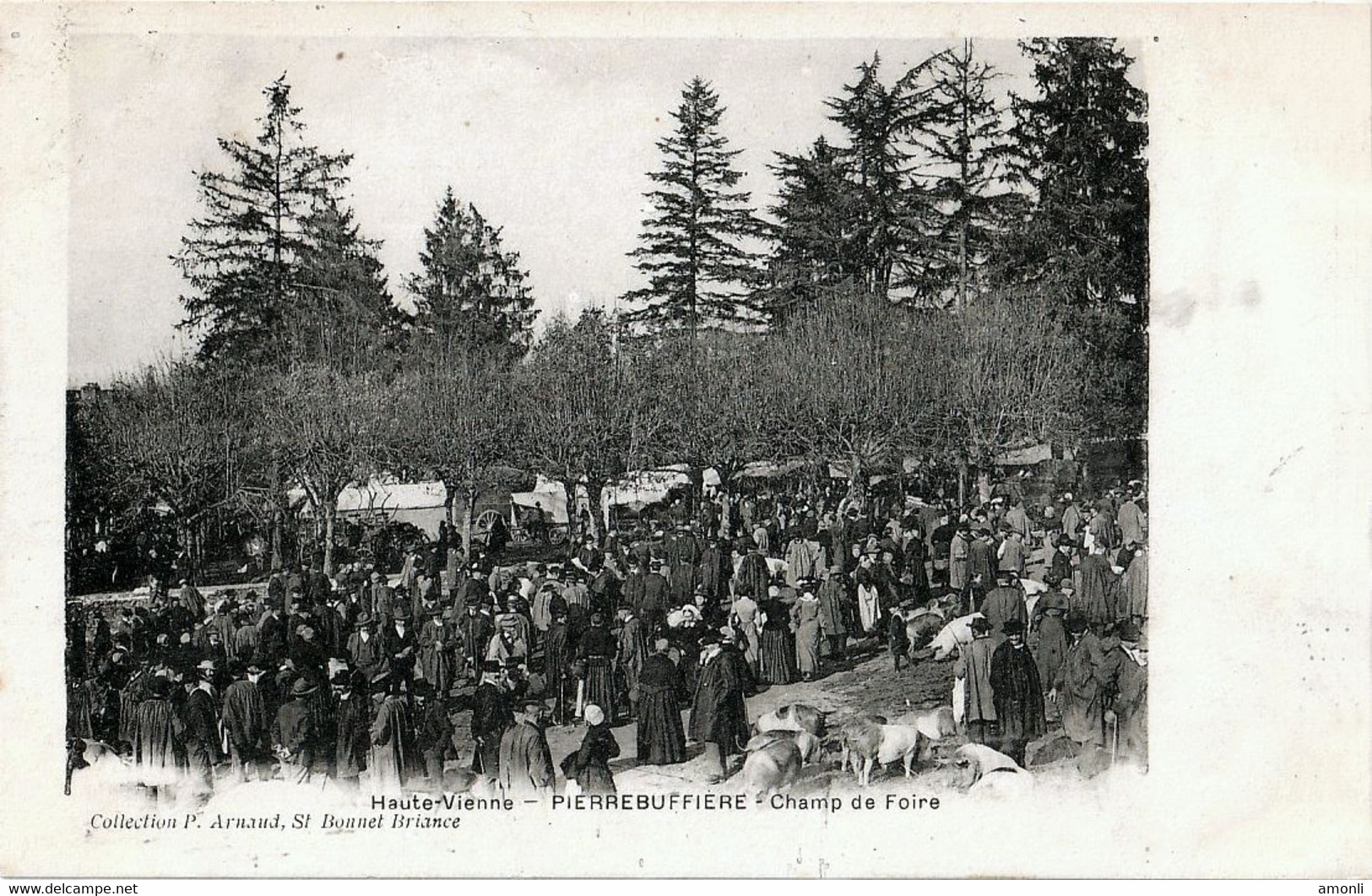 87. HAUTE-VIENNE - PIERRE-BUFFIERE. Champ De Foire. - Pierre Buffiere