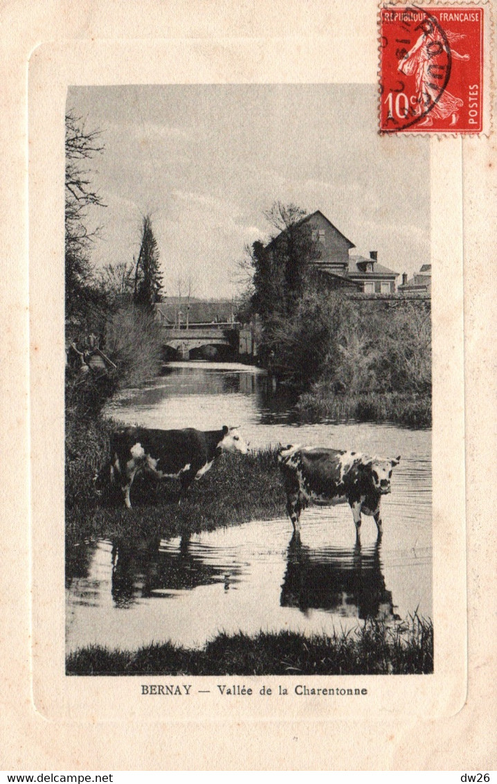 Bernay (Eure) Vallée De La Charentonne, Vaches Dans La Rivière - Collection Walter - Bernay