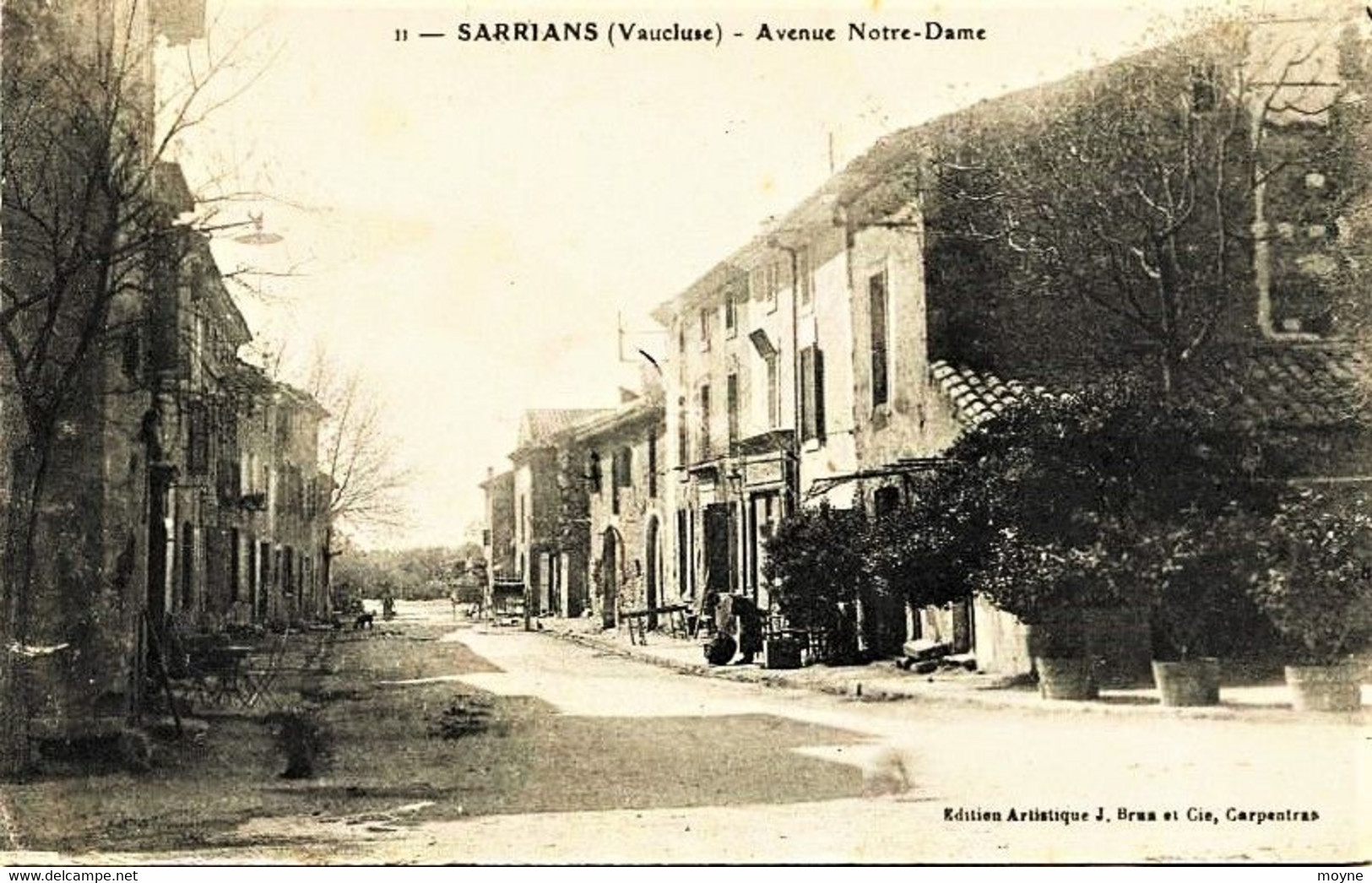 174 - Vaucluse -  SARRIANS  :  ENTREE DU VILLAGE    AVENUE NOTRE DAME - Circulée En1918 - Sarrians