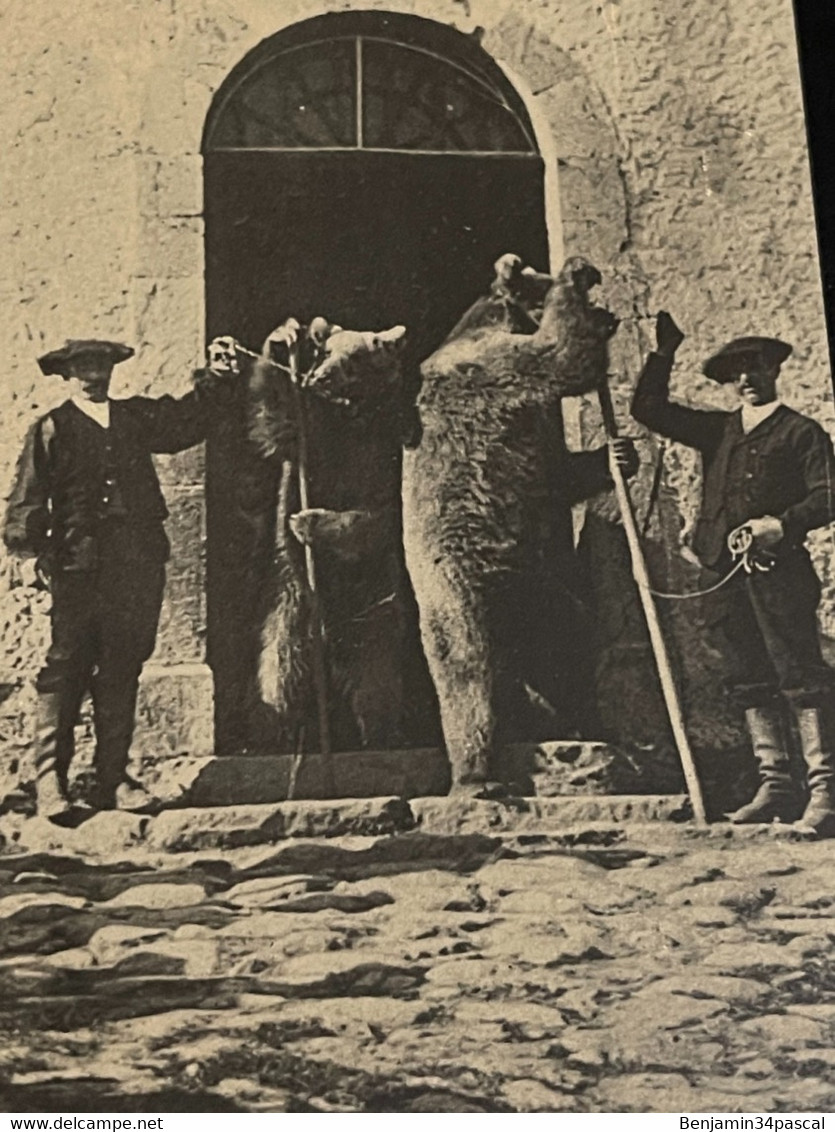 Cpa Haute-Ariège, Inventaire De Corminac ,Les Ours à L’entrée De L’église , édition Cecodi D’après 1900 Qualité - Oust