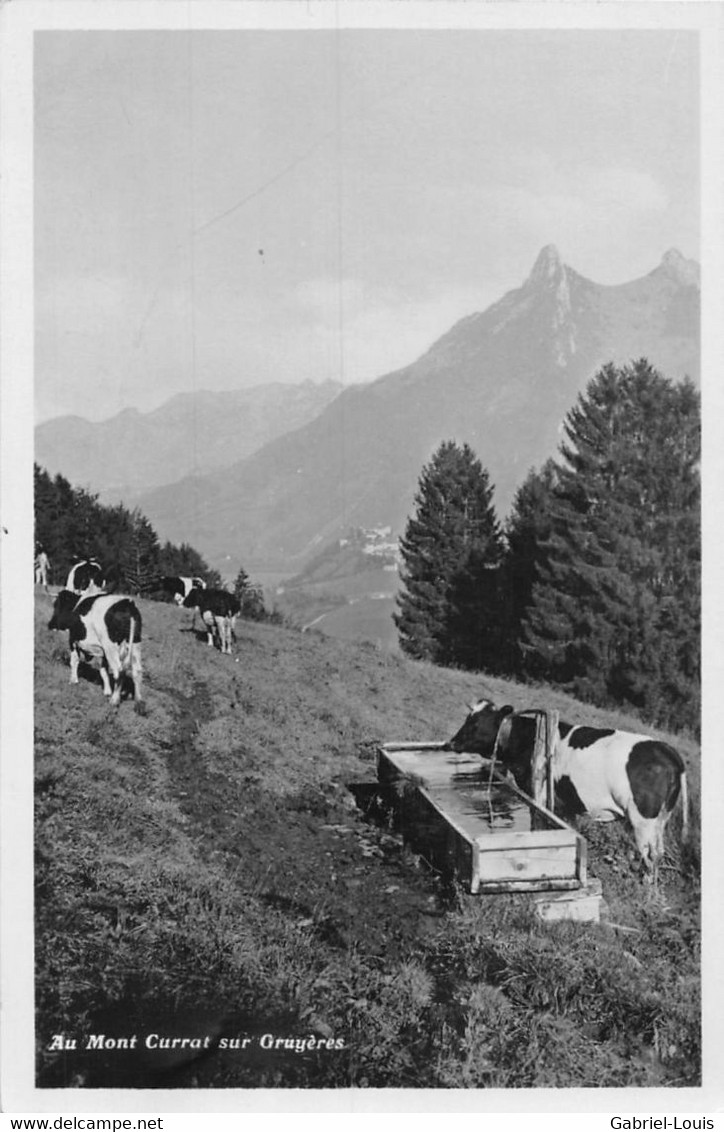 Le Mont Currat Sur Gruyères - Dent De Broc - Troupeau De Vache - Glasson Bulle - Gruyère - Broc