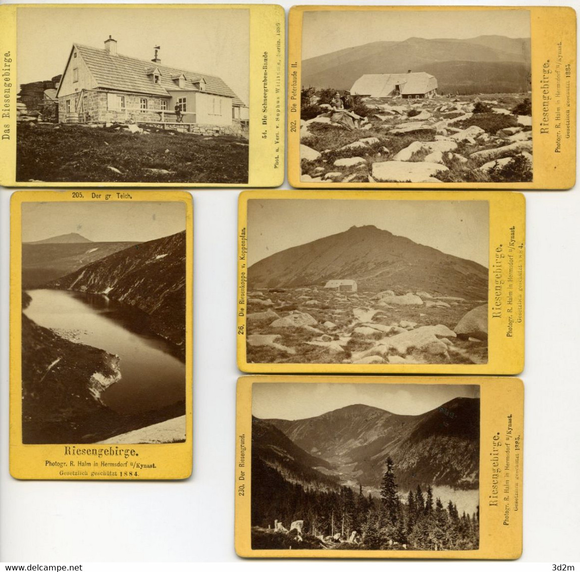 RIESENGEBIRGE X 5 CDV 1885-1886 - Sonstige & Ohne Zuordnung