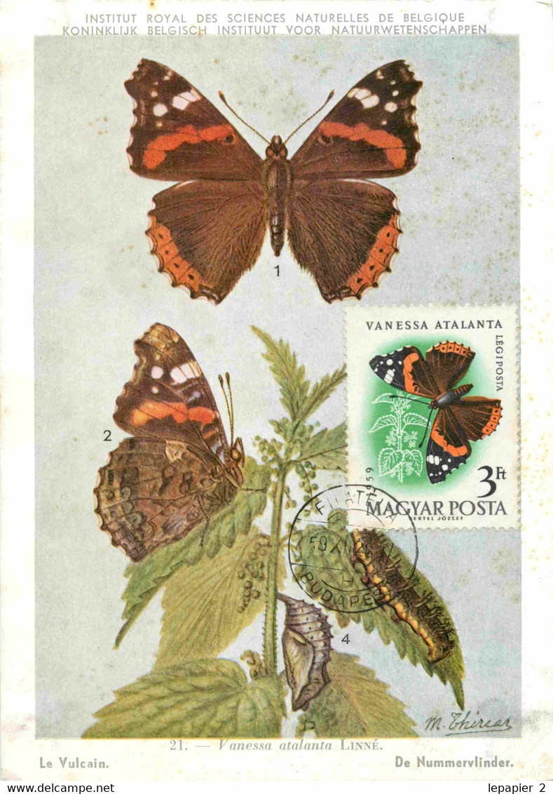 Hongrie Hungary Magyar Posta Lot Of 7 Maximum Cards CM Maxicard  Papillon Butterfly - Tarjetas – Máximo
